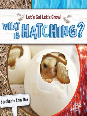 cover image of What Is Hatching?